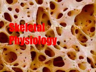 Skeletal
Physiology

             ©5
 