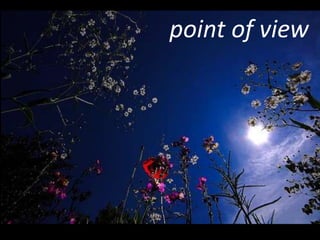 point of view