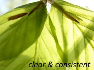 clear & consistent