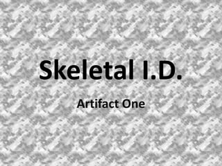 Skeletal I.D.
   Artifact One
 