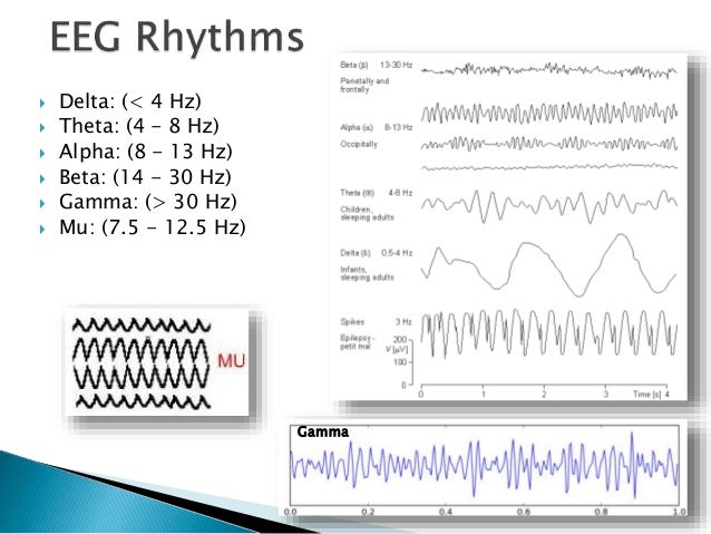 artifact removal from ambulatory eeg ambulatory eeg