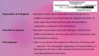 DIFFERENT TYPES OF ULTRASOUND. ARTIFACTS | PPTX