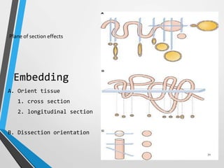 Artifacts in Tissue processing | PPTX