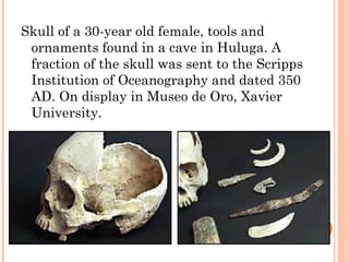 Skull of a 30-year old female, tools and
ornaments found in a cave in Huluga. A
fraction of the skull was sent to the Scripps
Institution of Oceanography and dated 350
AD. On display in Museo de Oro, Xavier
University.
 
