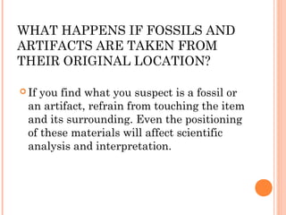 WHAT HAPPENS IF FOSSILS AND
ARTIFACTS ARE TAKEN FROM
THEIR ORIGINAL LOCATION?
 If you find what you suspect is a fossil or
an artifact, refrain from touching the item
and its surrounding. Even the positioning
of these materials will affect scientific
analysis and interpretation.
 