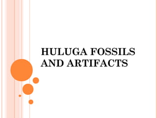 HULUGA FOSSILS
AND ARTIFACTS
 