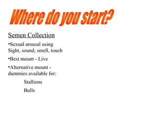 Semen Collection
•Sexual arousal using
Sight, sound, smell, touch
•Best mount - Live
•Alternative mount -
dummies available for:
Stallions
Bulls
 