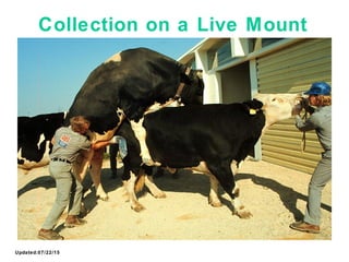 Updated:07/22/15
Collection on a Live Mount
 