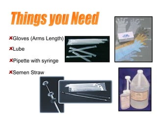 Pipette with syringe
Lube
Semen Straw
Gloves (Arms Length)
 