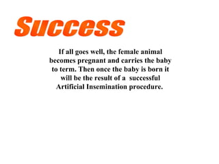 If all goes well, the female animal
becomes pregnant and carries the baby
to term. Then once the baby is born it
will be the result of a successful
Artificial Insemination procedure.
 