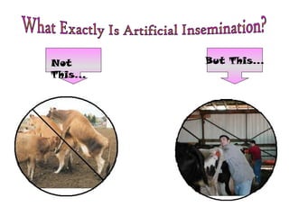 But This…Not
This…
 