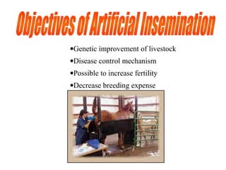 •Genetic improvement of livestock
•Disease control mechanism
•Possible to increase fertility
•Decrease breeding expense
 
