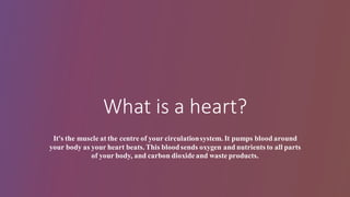 What is a heart?
It's the muscle at the centre of your circulationsystem. It pumps blood around
your body as your heart beats. This bloodsends oxygen and nutrients to all parts
of your body, and carbon dioxideand waste products.
 