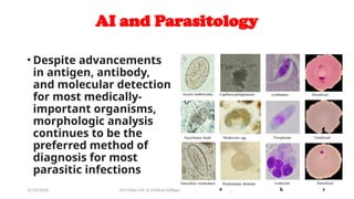 Artificial Intelligence Applications in Diagnostic Microbiology and ...