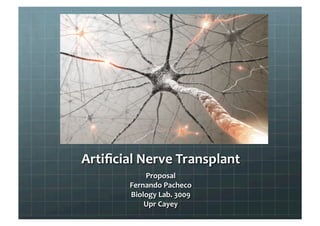 Artifical nerves transplant