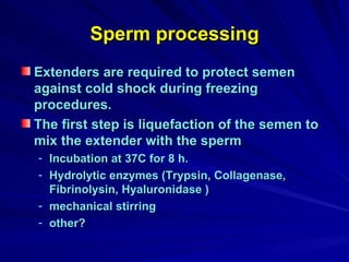 Sperm processing Extenders are required to protect semen against cold shock during freezing procedures. The first step is liquefaction of the semen to mix the extender with the sperm  Incubation at 37C for 8 h. Hydrolytic enzymes (Trypsin, Collagenase, Fibrinolysin, Hyaluronidase ) mechanical stirring other?  