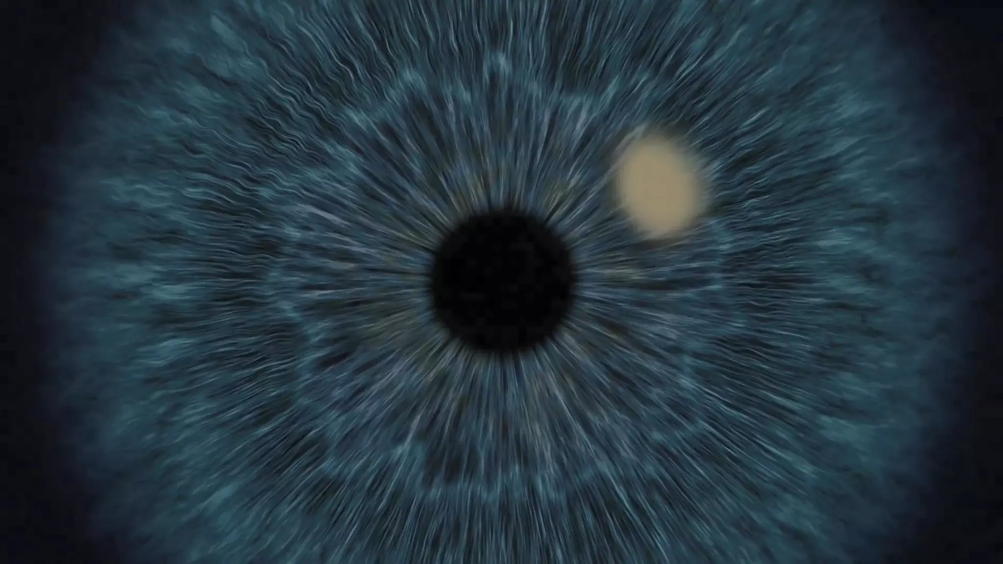 Company Confidential – For Internal Use Only
Copyright © SAS Institute Inc. All rights reserved.
 