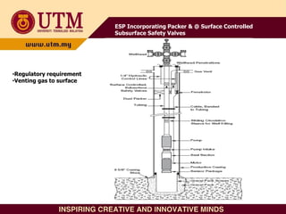 ESP Incorporating Packer & @ Surface Controlled
Subsurface Safety Valves
•Regulatory requirement
•Venting gas to surface
 