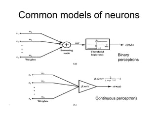 Common models of neurons
Binary
perceptrons
Continuous perceptrons
 