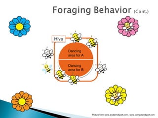 Artificial bee colony (abc) | PPT