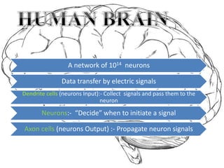 A network of 1014 neurons
Data transfer by electric signals
Dendrite cells (neurons Input):- Collect signals and pass them to the
neuron
Neurons:- “Decide” when to initiate a signal
Axon cells (neurons Output) :- Propagate neuron signals
 