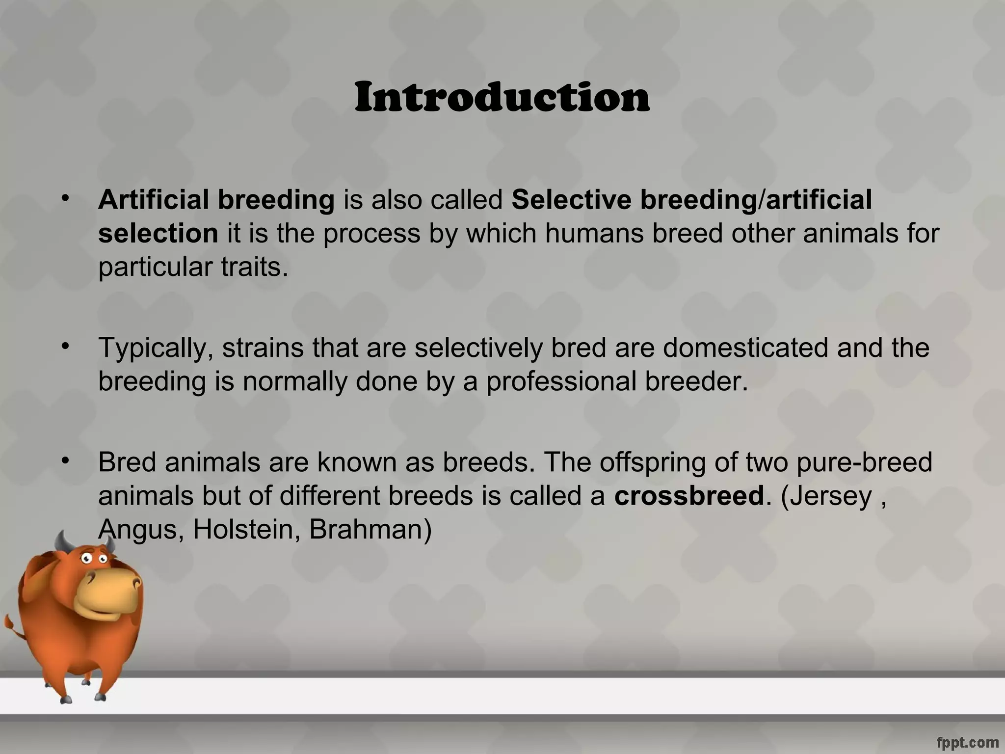 Artificial breeding methods | PPT | Infertility | Reproductive Health