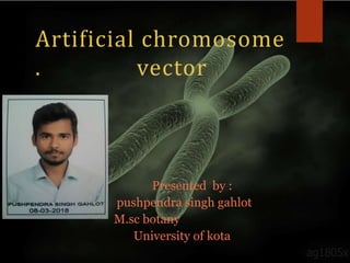 Artificial chromosome
. vector
Presented by :
pushpendra singh gahlot
M.sc botany
University of kota
ag1805x
 