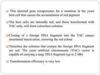 Yeast Artificial Chromosomes (YACs) | PPTX