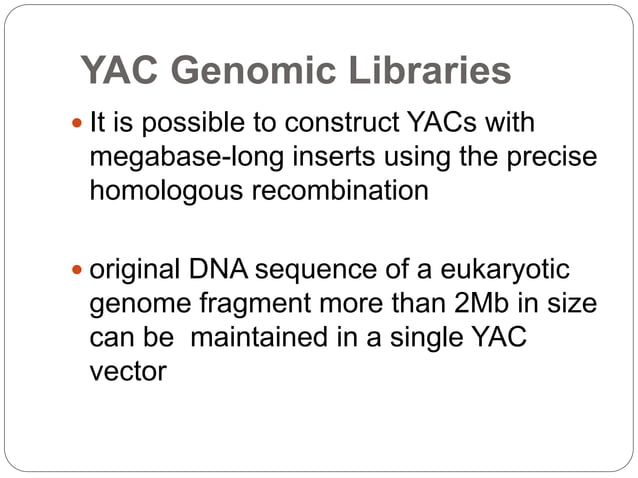 Yeast Artificial Chromosomes (YACs) | PPTX