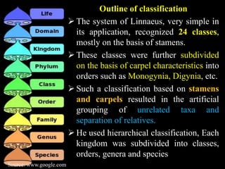 Outline of classification
 The system of Linnaeus, very simple in
its application, recognized 24 classes,
mostly on the basis of stamens.
 These classes were further subdivided
on the basis of carpel characteristics into
orders such as Monogynia, Digynia, etc.
 Such a classification based on stamens
and carpels resulted in the artificial
grouping of unrelated taxa and
separation of relatives.
 He used hierarchical classification, Each
kingdom was subdivided into classes,
orders, genera and species
Source: www.google.com
 