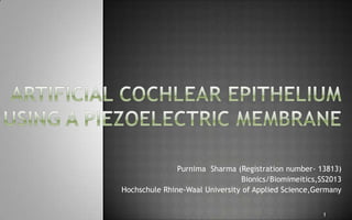 Purnima Sharma (Registration number- 13813)
Bionics/Biomimeitics,SS2013
Hochschule Rhine-Waal University of Applied Science,Germany
1
 