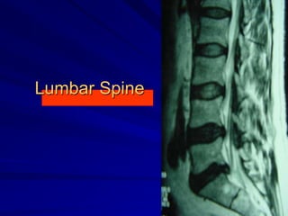 Lumbar Spine
 