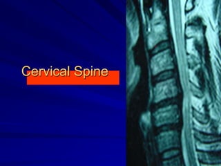 Cervical Spine
 