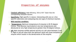 Properties of enzymes
• Catalytic efficiency: High efficiency, 103 to 1017 faster than the
corresponding catalyzed reaction.
• Specificity: High specific in nature, interacting with one or a few
specific substrates and catalyzing only one type of chemical reaction.
• Mild reaction condition:
 Temperature: Optimum temperature of enzymes is 20-35 degree
Celsius. They become inactivated at very low temperatures and
denatured at very high temperature( greater than 45 degree Celsius).
 pH: Most enzymes exhibit optimal activity at a pH value between 5 and
9. High or low pH value than the optimum value will cause ionization of
enzyme which results in the denaturation of the enzyme.
 