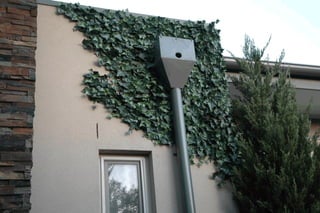 Artificial fake ivy wall that looks real