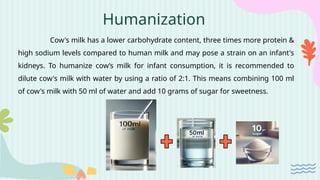 Humanization
Cow's milk has a lower carbohydrate content, three times more protein &
high sodium levels compared to human milk and may pose a strain on an infant's
kidneys. To humanize cow’s milk for infant consumption, it is recommended to
dilute cow's milk with water by using a ratio of 2:1. This means combining 100 ml
of cow's milk with 50 ml of water and add 10 grams of sugar for sweetness.
 