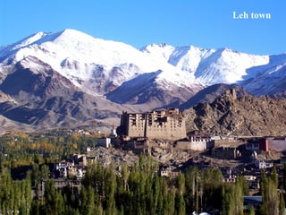 Artificial glacier – a water
harvesting and conservation
technique in high altitude
Leh town
 