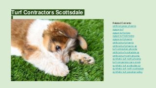 Turf Contractors Scottsdale
Related Contents:
artificial grass phoenix
agape turf
agape turf prices
agape turf estimates
agape turf phoenix
artificial turf phoenix
artificial turf phoenix az
turf contractors phoenix
artificial turf scottsdale az
artificial turf north phoenix
synthetic turf north phoenix
turf companies cave creek
synthetic turf scottsdale az
synthetic turf north scottsdale
synthetic turf paradise valley
 