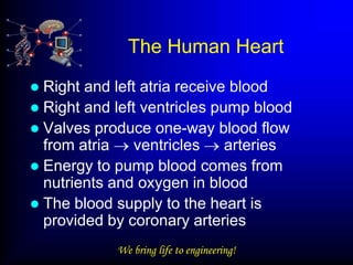 The Human Heart
 Right and left atria receive blood
 Right and left ventricles pump blood
 Valves produce one-way blood flow
  from atria    ventricles    arteries
 Energy to pump blood comes from
  nutrients and oxygen in blood
 The blood supply to the heart is
  provided by coronary arteries
            We bring life to engineering!
 