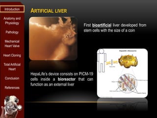 Introduction
                   ARTIFICIAL LIVER
Anatomy and
 Physiology
                                                  First bioartificial liver developed from
 Pathology                                        stem cells with the size of a coin

 Mechanical
 Heart Valve

Heart Cloning

Total Artificial
    Heart
                   HepaLife’s device consists on PICM-19
 Conclusion        cells inside a bioreactor that can
                   function as an external liver
 References
 