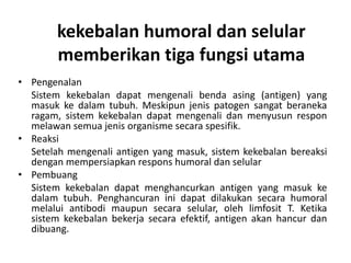 kekebalan humoral dan selular
memberikan tiga fungsi utama
• Pengenalan
Sistem kekebalan dapat mengenali benda asing (antigen) yang
masuk ke dalam tubuh. Meskipun jenis patogen sangat beraneka
ragam, sistem kekebalan dapat mengenali dan menyusun respon
melawan semua jenis organisme secara spesifik.
• Reaksi
Setelah mengenali antigen yang masuk, sistem kekebalan bereaksi
dengan mempersiapkan respons humoral dan selular
• Pembuang
Sistem kekebalan dapat menghancurkan antigen yang masuk ke
dalam tubuh. Penghancuran ini dapat dilakukan secara humoral
melalui antibodi maupun secara selular, oleh limfosit T. Ketika
sistem kekebalan bekerja secara efektif, antigen akan hancur dan
dibuang.
 