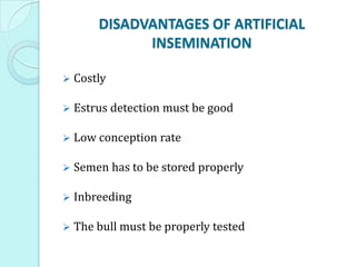 DISADVANTAGES OF ARTIFICIAL
INSEMINATION
 Costly
 Estrus detection must be good
 Low conception rate
 Semen has to be stored properly
 Inbreeding
 The bull must be properly tested
 