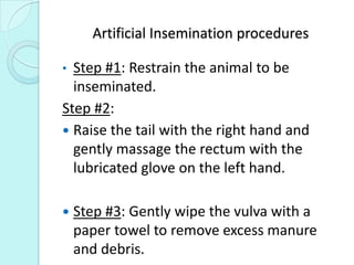Artificial Insemination procedures
• Step #1: Restrain the animal to be
inseminated.
Step #2:
 Raise the tail with the right hand and
gently massage the rectum with the
lubricated glove on the left hand.
 Step #3: Gently wipe the vulva with a
paper towel to remove excess manure
and debris.
 
