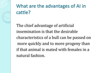What are the advantages of AI in
cattle?
The chief advantage of artificial
insemination is that the desirable
characteristics of a bull can be passed on
more quickly and to more progeny than
if that animal is mated with females in a
natural fashion.
 