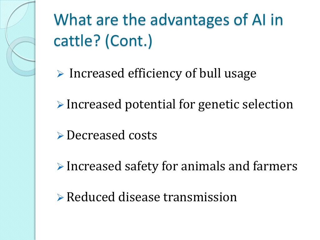 Artificial insemination in cattle