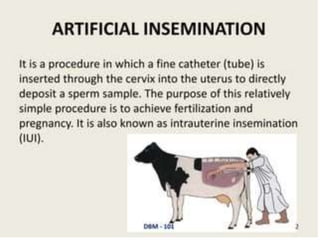 Artificial Insemination in Cattle.pdf.pptx