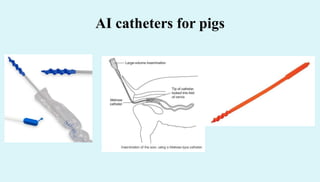 Artificial insemination techniques in farm and pet animals | PDF