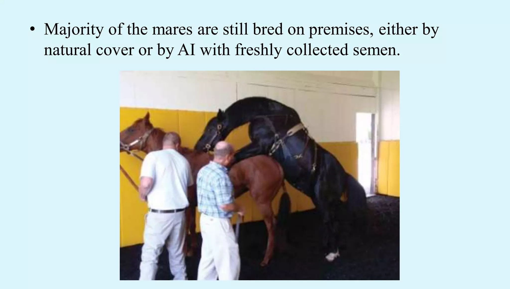Artificial insemination techniques in farm and pet animals | PDF