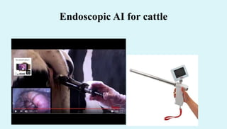 Artificial insemination techniques in farm and pet animals | PDF