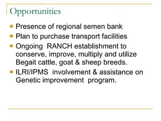 Opportunities Presence of regional semen bank Plan to purchase transport facilities Ongoing  RANCH establishment to conserve, improve, multiply and utilize Begait cattle, goat & sheep breeds. ILRI/IPMS  involvement & assistance on Genetic improvement  program.  